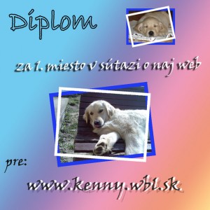 Obrázok